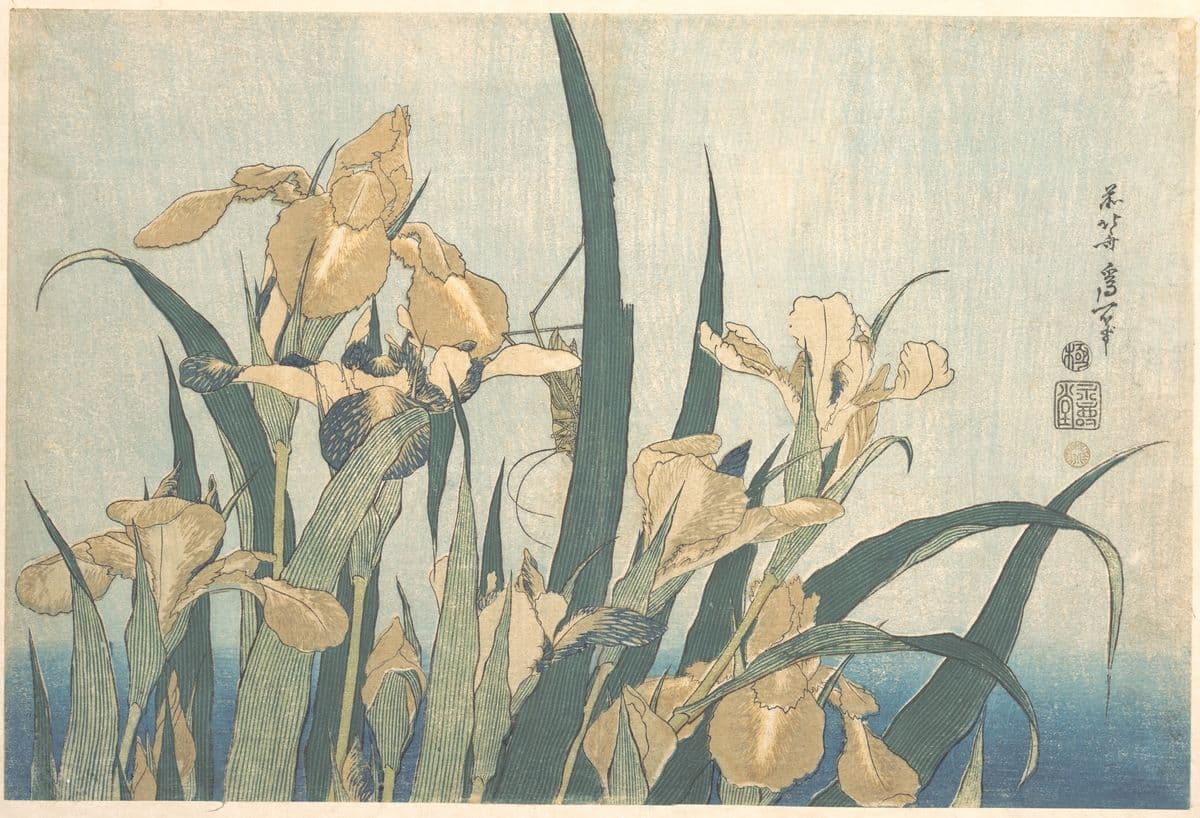 Pale yellow irises with long blue-green leaves and a small grasshopper